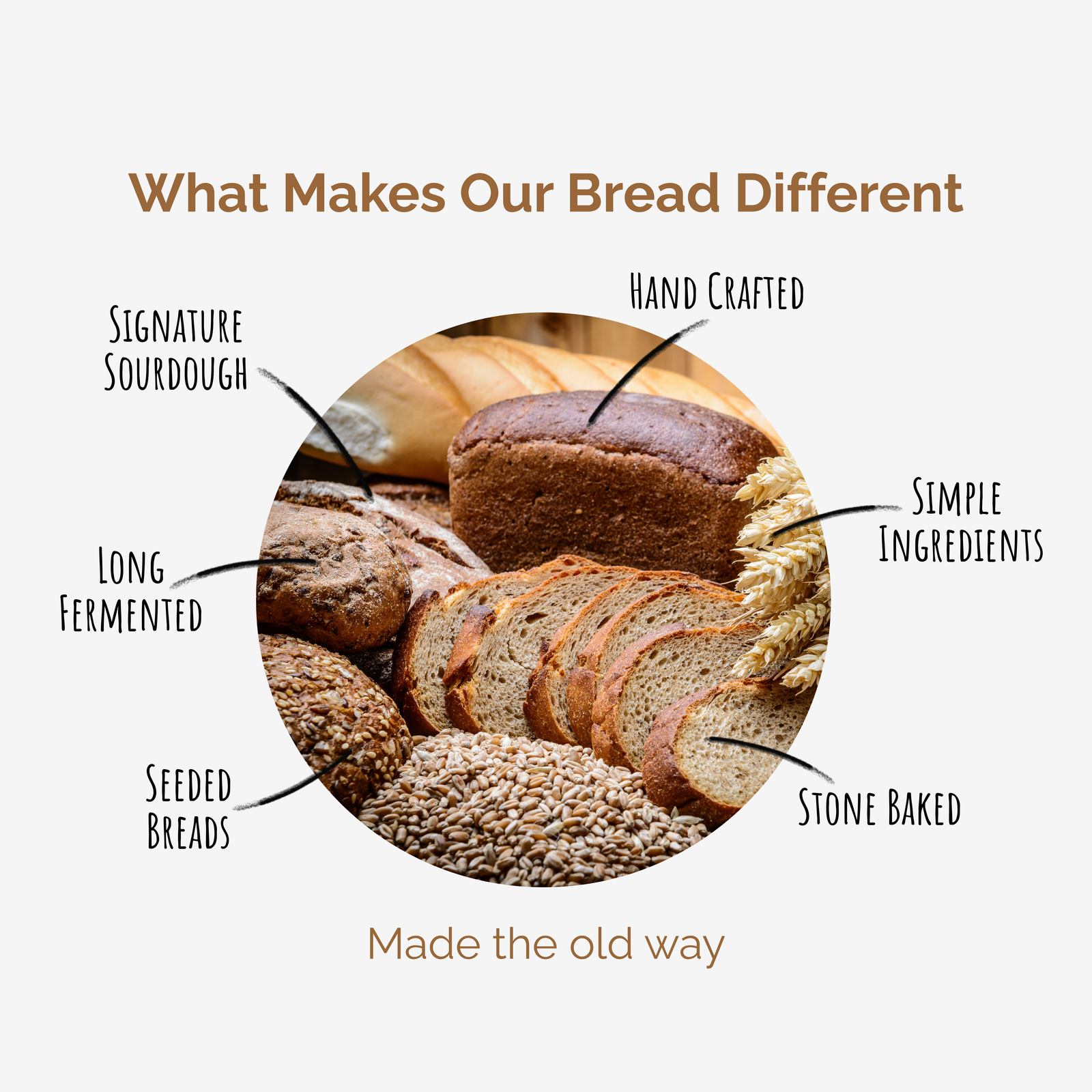 What makes our bread different Infographic